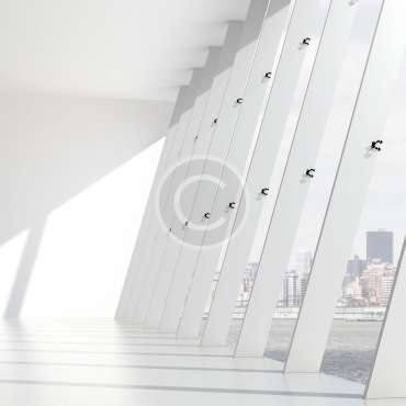 Profesyonel İnşaat